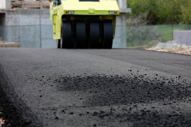 Best Local Driveway Pavers  in East Norwich, NY