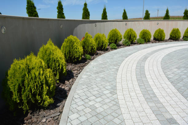 Best Commercial Driveway Pavers  in East Norwich, NY